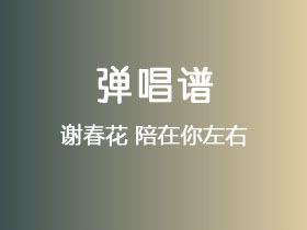 谢春花《陪在你左右》吉他谱G调吉他弹唱谱