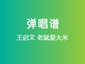 王启文《老鼠爱大米》吉他谱D调吉他弹唱谱