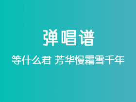 等什么君《芳华慢霜雪千年》吉他谱C调吉他弹唱谱