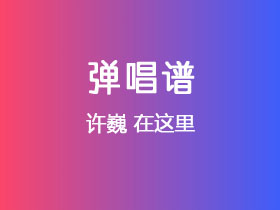 许巍《在这里》吉他谱C调吉他弹唱谱