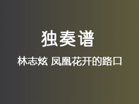 林志炫《凤凰花开的路口》吉他谱G调吉他指弹独奏谱