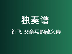 许飞《父亲写的散文诗》吉他谱C调吉他指弹独奏谱