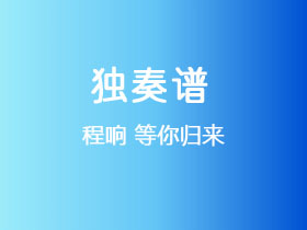 程响《等你归来》吉他谱G调吉他指弹独奏谱