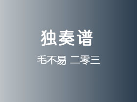 毛不易《二零三》吉他谱G调吉他指弹独奏谱