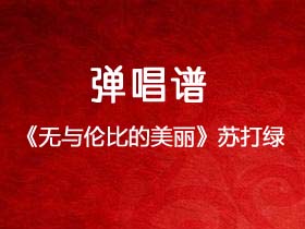 苏打绿《无与伦比的美丽》吉他谱C调吉他弹唱谱