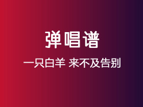 一只白羊《来不及告别》吉他谱C调吉他弹唱谱