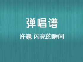 许巍《闪亮的瞬间》吉他谱G调吉他弹唱谱