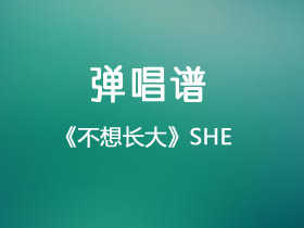 S.H.E《不想长大》吉他谱G调吉他弹唱谱