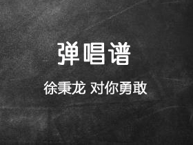 徐秉龙 《对你勇敢》吉他谱C调吉他弹唱谱