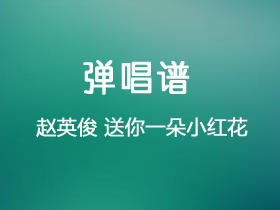 赵英俊 《送你一朵小红花》吉他谱G调吉他弹唱谱