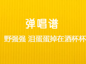 马美如,野强强《泪蛋蛋掉在酒杯杯》吉他谱C调吉他弹唱谱