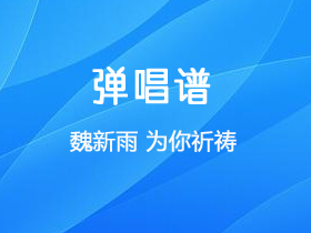 魏新雨 《为你祈祷》吉他谱G调吉他弹唱谱