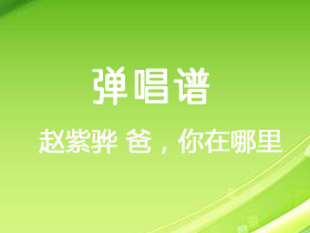 赵紫骅 《爸,你在哪里》吉他谱C调吉他弹唱谱