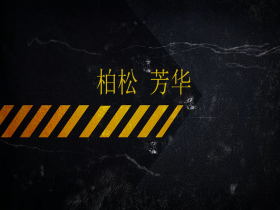 柏松 《芳华》吉他谱C调吉他弹唱谱