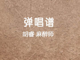 胡睿《麻醉师》吉他谱G调吉他弹唱谱