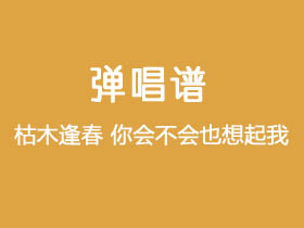 枯木逢春《你会不会也想起我》吉他谱C调吉他弹唱谱