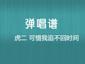 虎二《可惜我追不回时间》吉他谱C调吉他弹唱谱