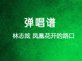 林志炫《凤凰花开的路口》吉他谱G调吉他弹唱谱