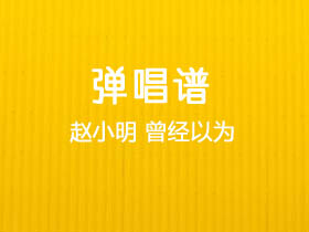赵小明《曾经以为》吉他谱G调吉他弹唱谱