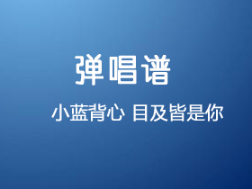 小蓝背心《目及皆是你》吉他谱G调吉他弹唱谱
