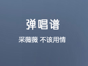 采薇薇《不该用情》吉他谱C调吉他弹唱谱