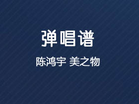 陈鸿宇《美之物》吉他谱C调吉他弹唱谱