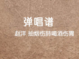 赵洋《抽烟伤肺喝酒伤胃》吉他谱G调吉他弹唱谱