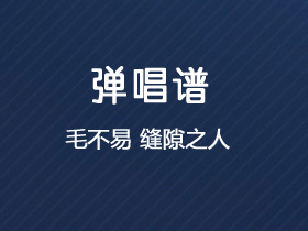 毛不易《缝隙之人》吉他谱C调吉他弹唱谱