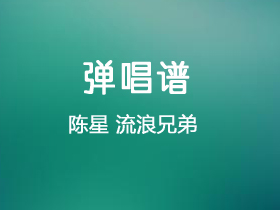 陈星《流浪兄弟》吉他谱G调吉他弹唱谱