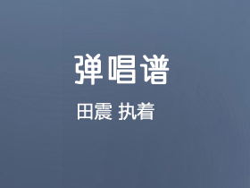 田震《执着》吉他谱G调吉他弹唱谱