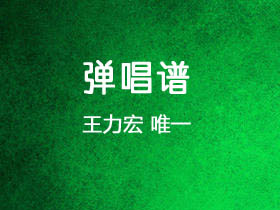 王力宏《唯一》吉他谱C调吉他弹唱谱