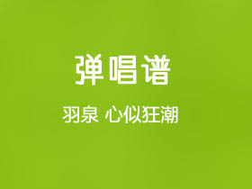 羽泉《心似狂潮》吉他谱G调吉他弹唱谱