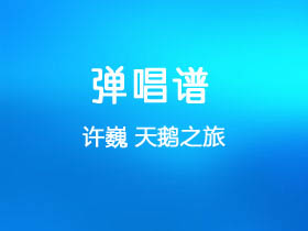许巍《天鹅之旅》吉他谱G调吉他弹唱谱