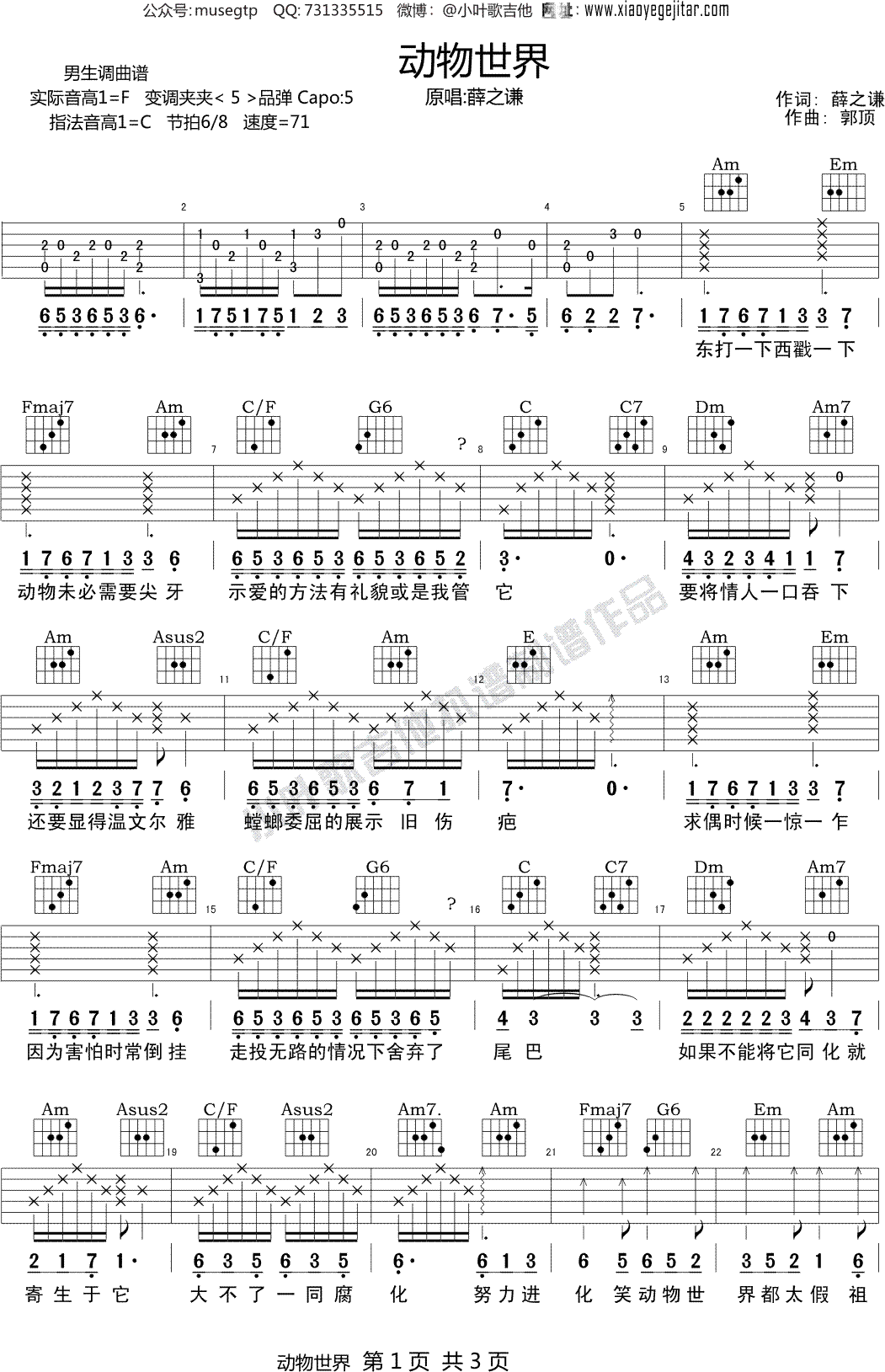薛之谦《动物世界》吉他谱_C调吉他弹唱谱 - 打谱啦
