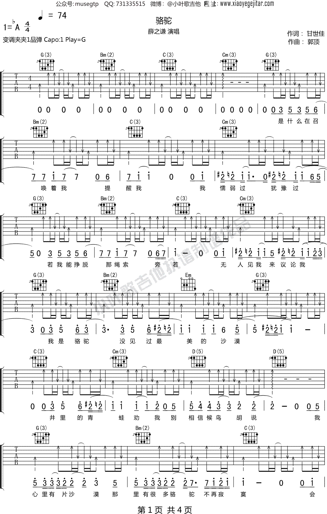 沙漠骆驼吉他谱-C调简单版+中级版-弹唱教学视频-简谱网