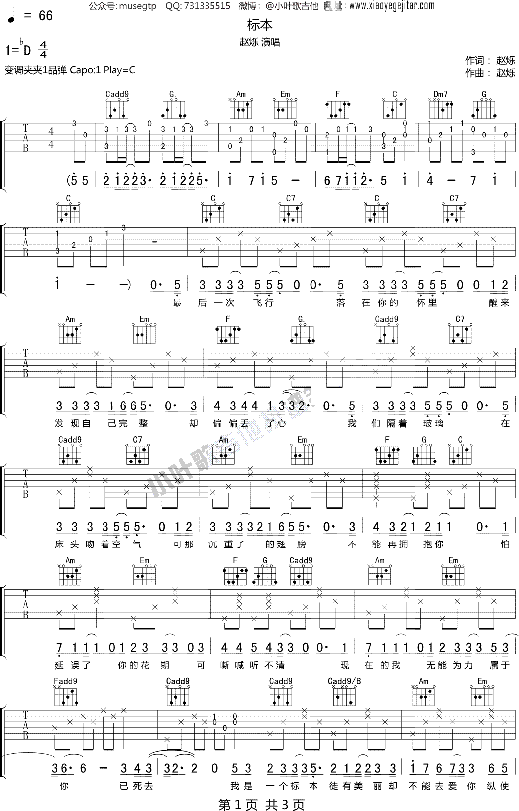 赵烁《标本》吉他谱C调吉他弹唱谱