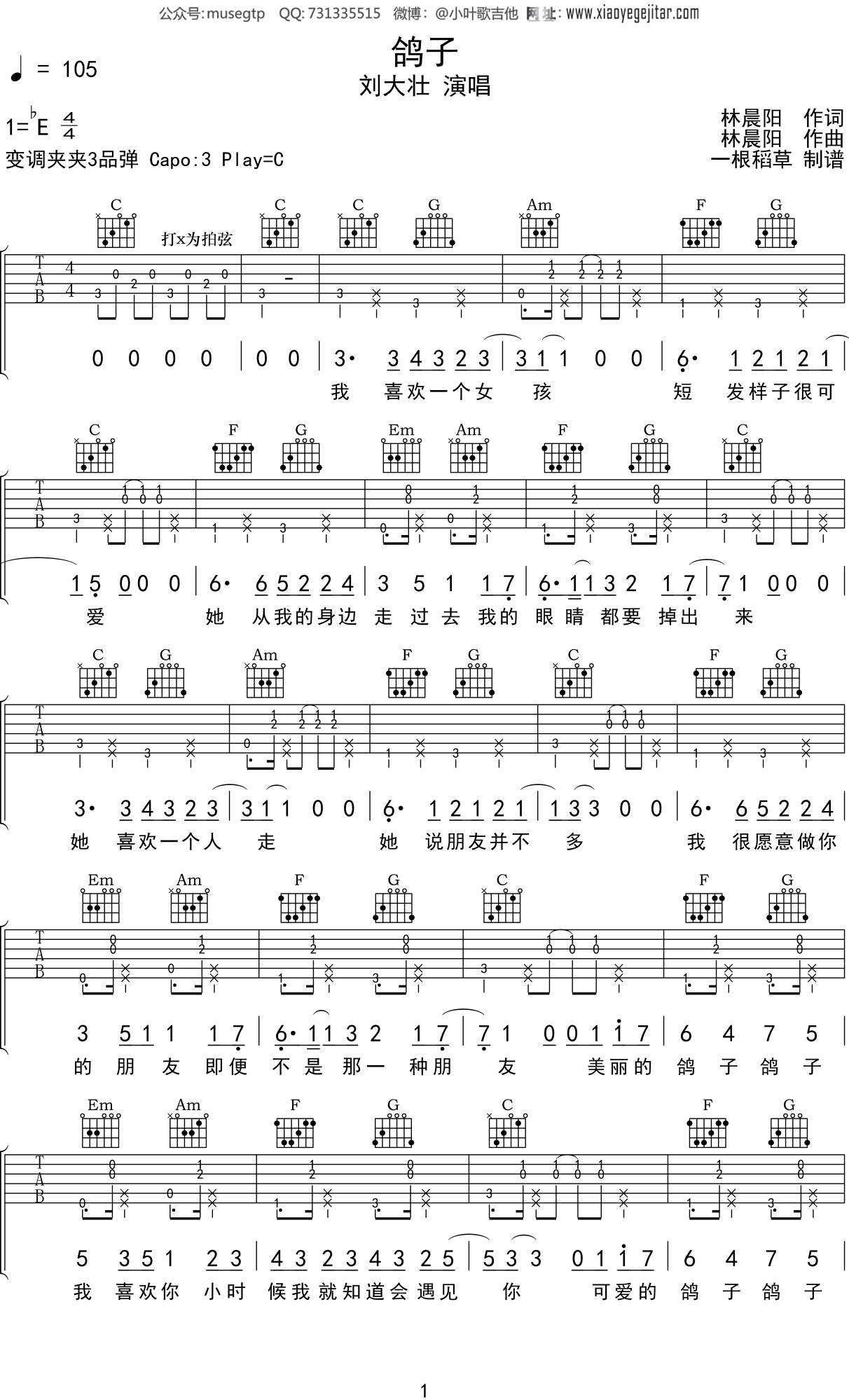 吉他谱鸽子图片