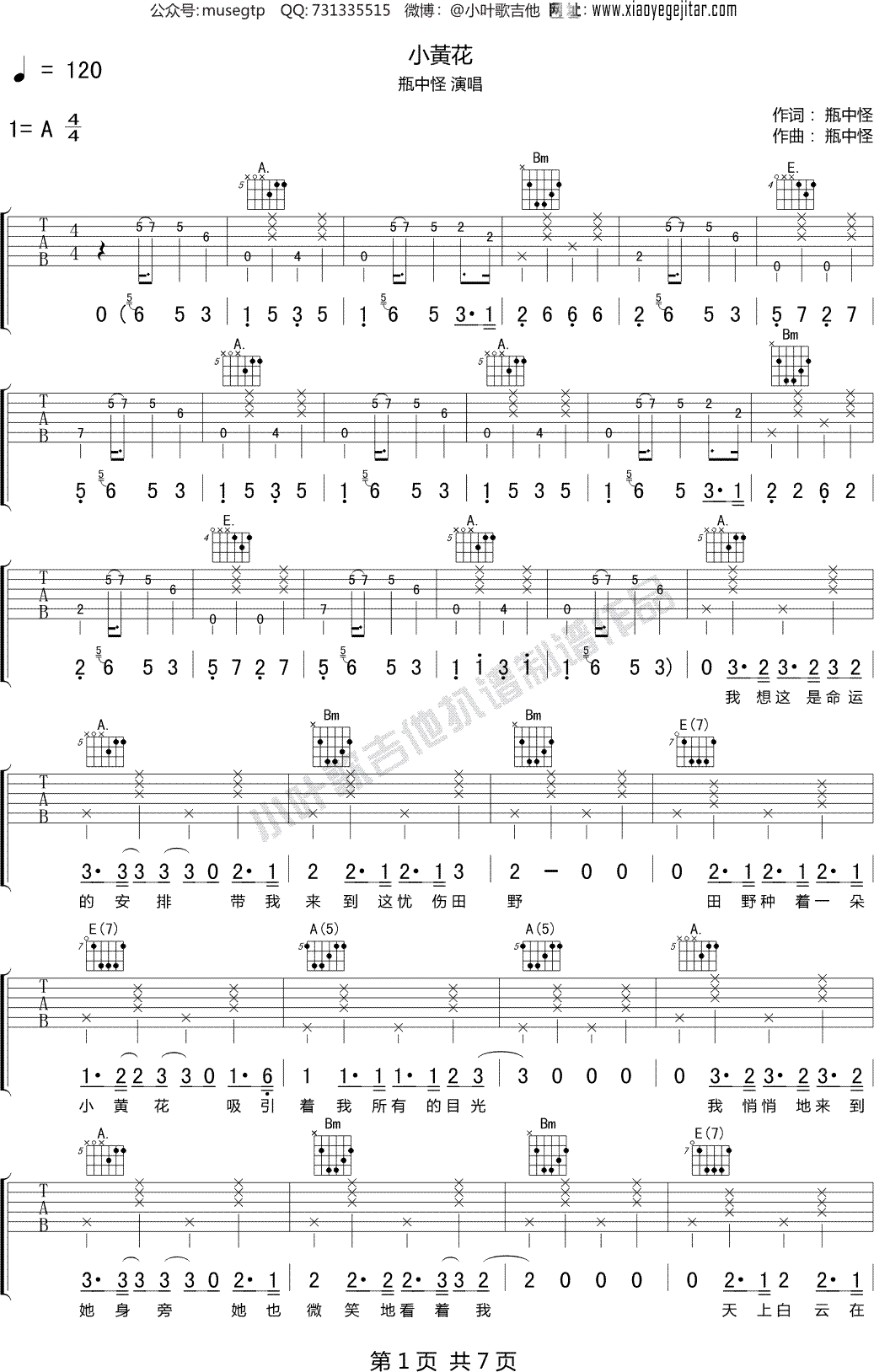 瓶中怪《小黃花》 吉他谱A调吉他弹唱谱