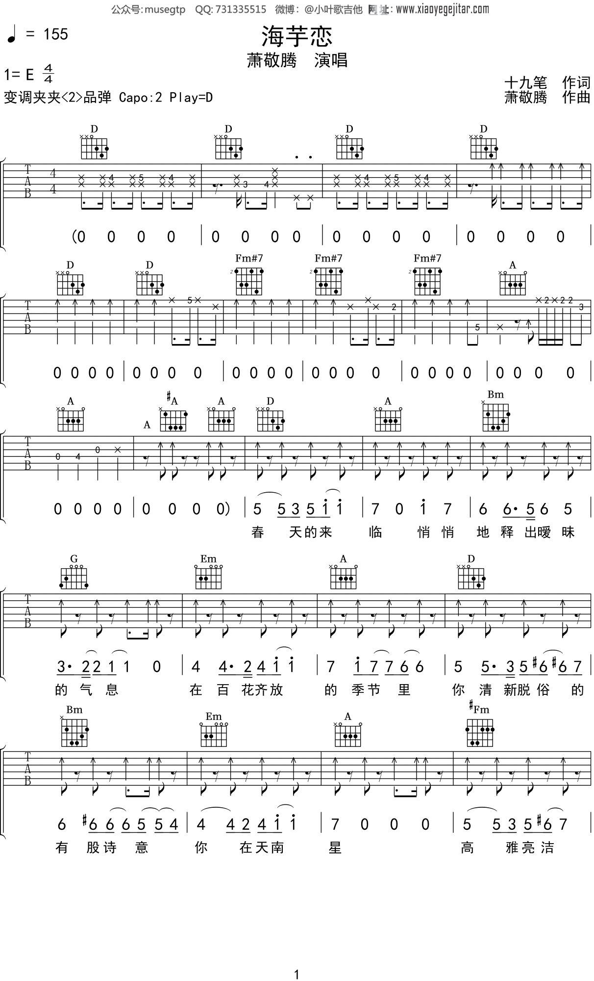 萧敬腾《海芋恋》吉他谱D调吉他弹唱谱