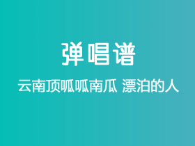 云南顶呱呱南瓜《漂泊的人》吉他谱G调吉他弹唱谱